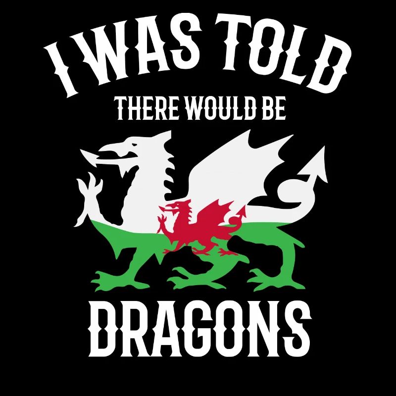 I was told that there would be dragons