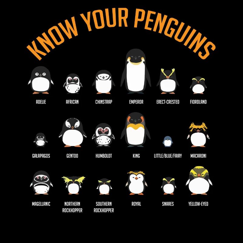 Pingouins, Pingouins, Amateurs de Pingouins