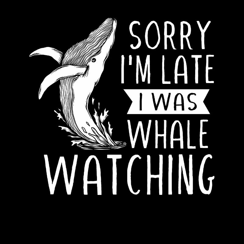 Baleines, baleines, observation des baleines, observation des baleines