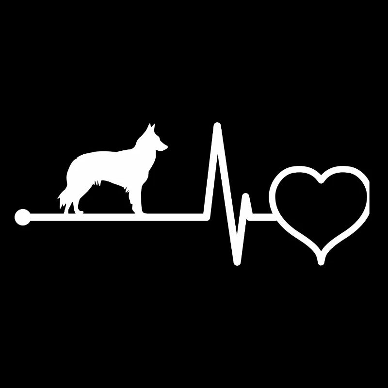 Groenendael heartbeat