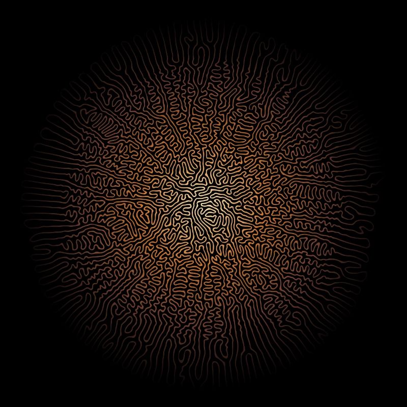 Pilz-Myzel (Psychedelic-Edition)