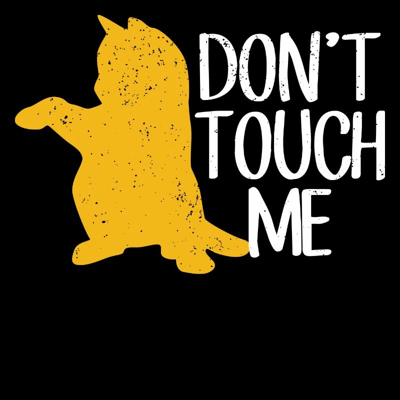 Don't touch me cat kitten