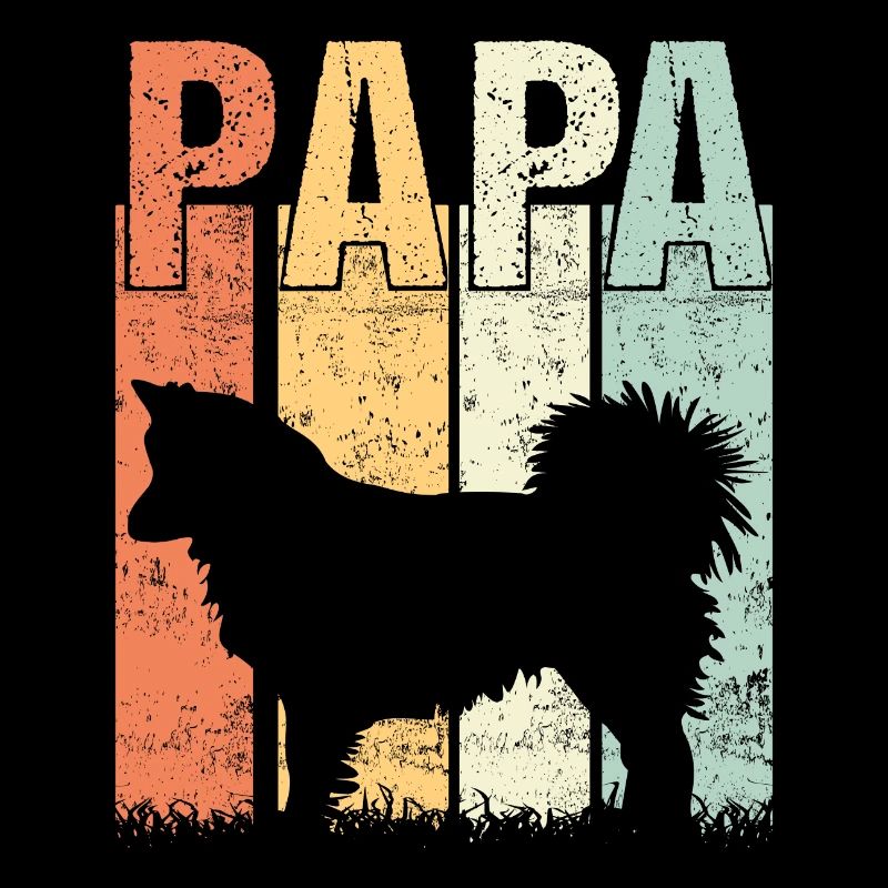 Icelandic Dog Icelandic Spitz Papa Dad