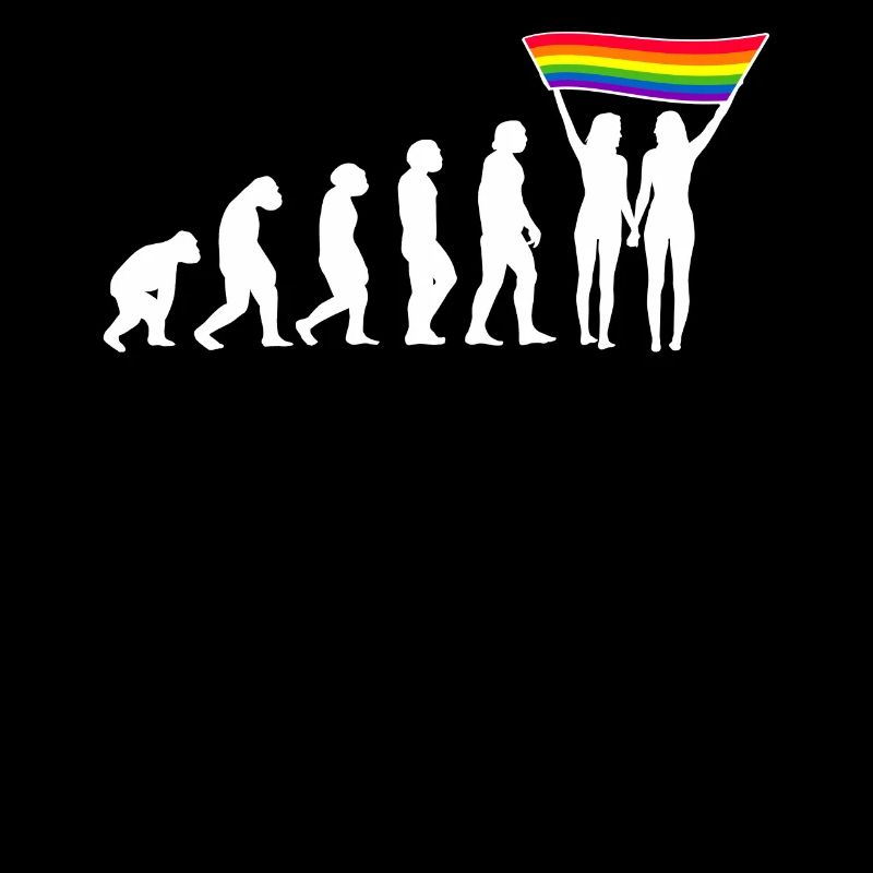 LGBTQ evolution lesbian pride lesbian flag