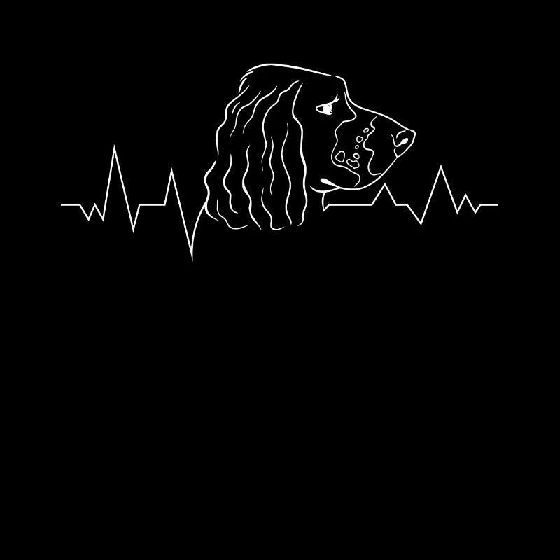 Hunderasse Englisch Springer-Spaniel