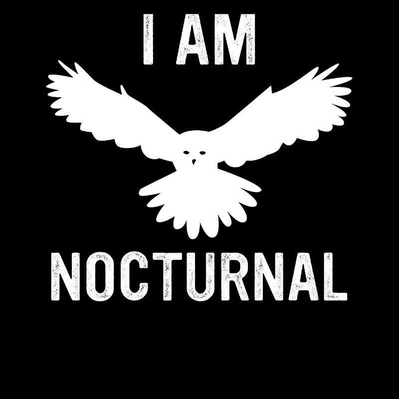 Eule Vogel Tier Eulen