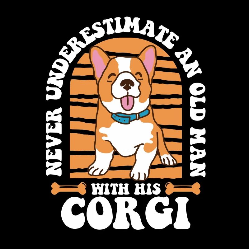 Pembroke Welsh Corgi Chiens Chiens