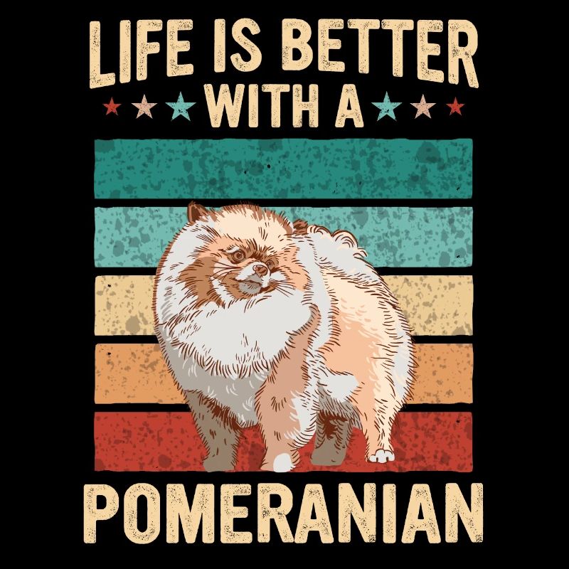Propriétaire de chien de Poméranie