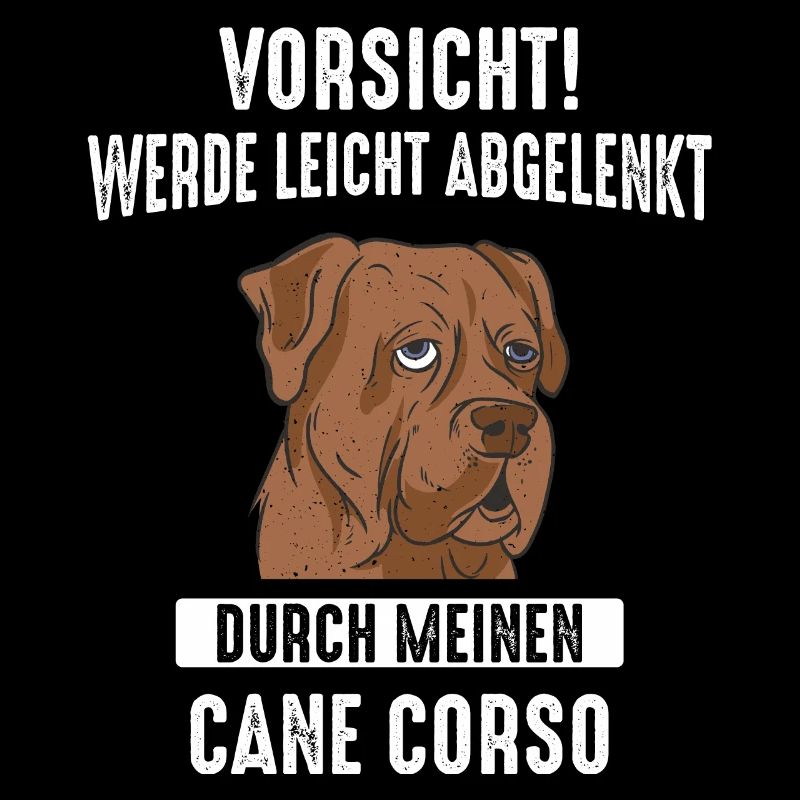 Cane Corso Italiano Hund