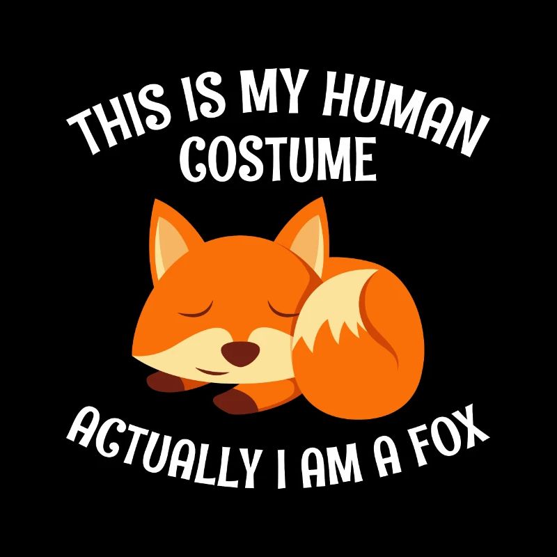 This is my human costume I am a fox
