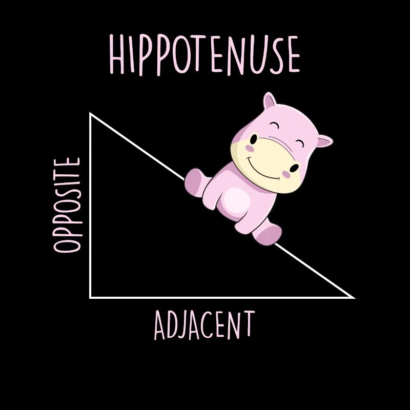 Hippotenuse Math Teacher