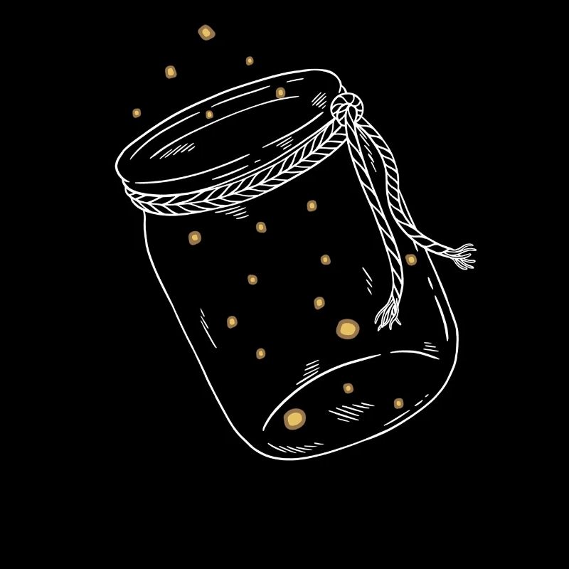 Firefly firefly insect