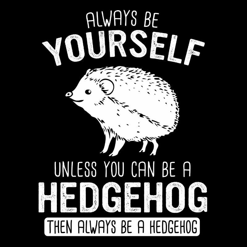 Igel Stachelig Tier Igel