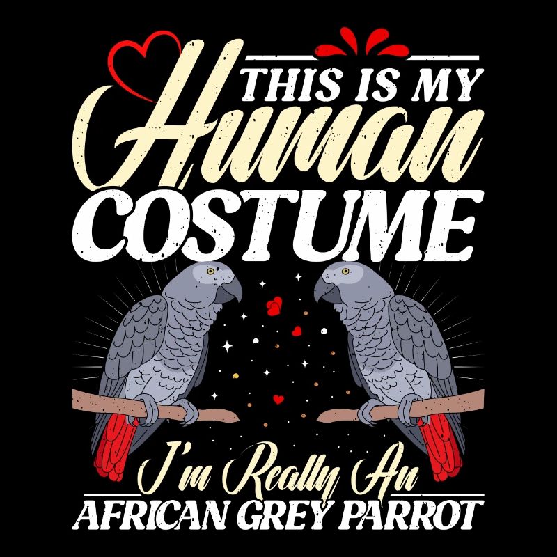 Grey Parrot This is my Human Costume Parrot