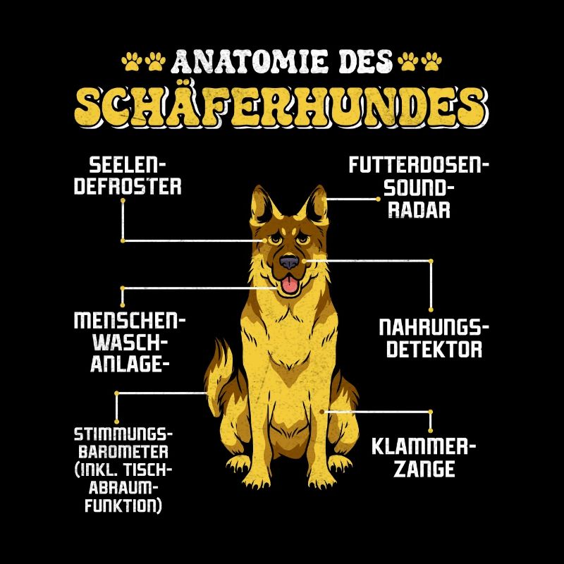 Deutscher Schäferhund ANATOMIE DES SCHÄFERHUNDES