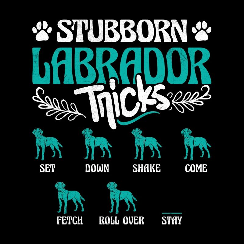 Labrador Owner STUBBORN LABRADOR TRICKS