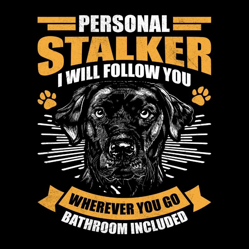 Labrador Retriever PERSONAL STALKER WHEREVER