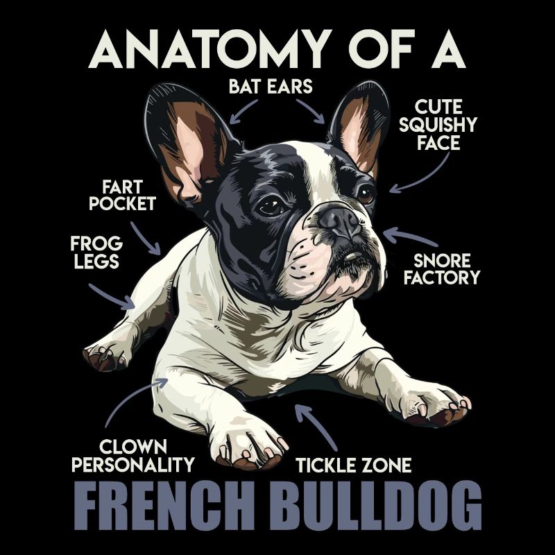 Évaluateur Frenchie Anatomie d’un bouledogue français