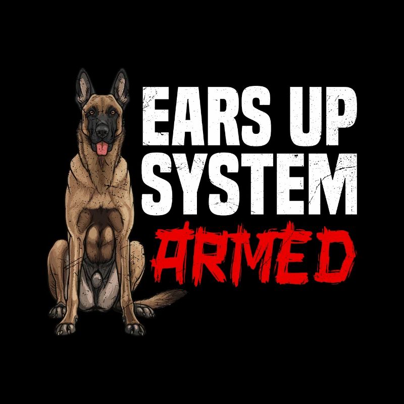 Belgischer Schäferhund EARS UP SYSTEM ARMED