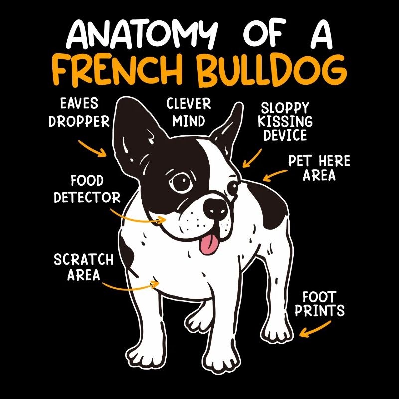 Anatomie Bouledogue Français Propriétaire Drôle