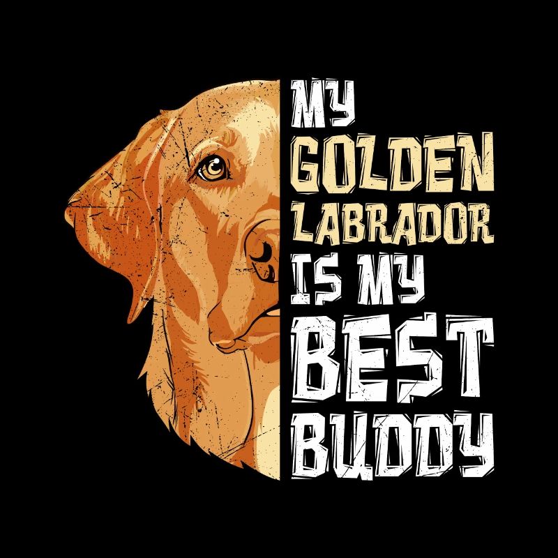 Chien Labrador Mon Labrador Doré mon meilleur ami
