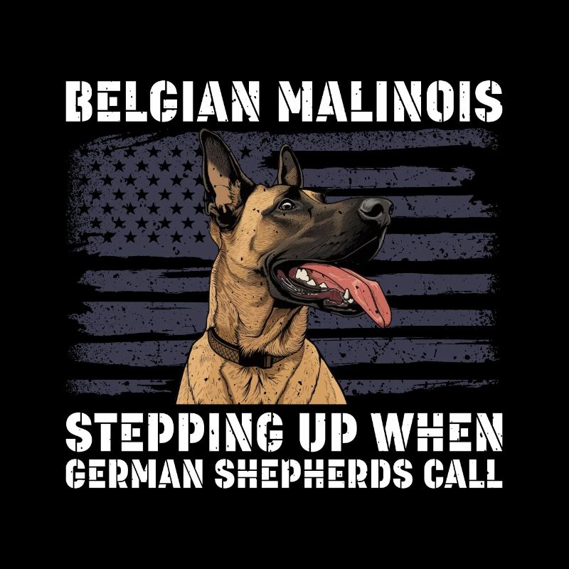 BELGIAN MALINOIS STEPPING UP WHEN SHEPHERDS CALL