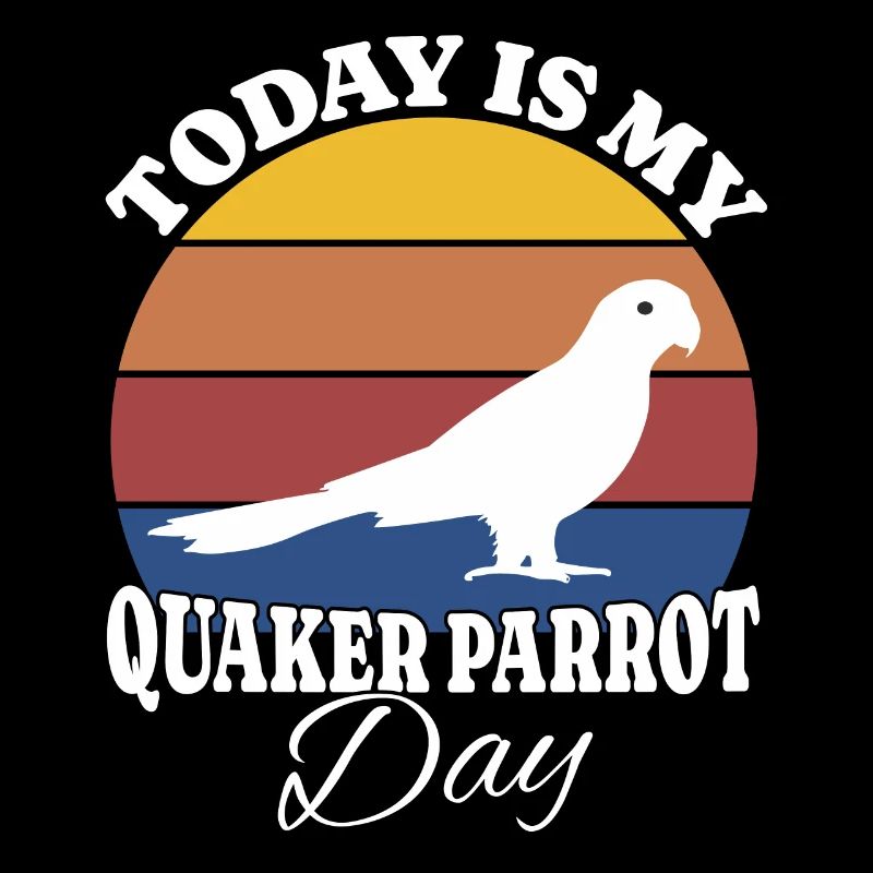 Mönchssittich Quaker Parrot