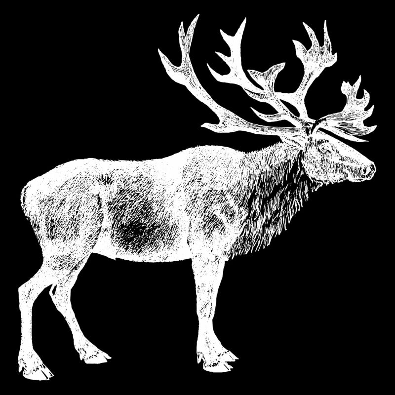 Deer Elk Antler Deer Head Hunter Moose