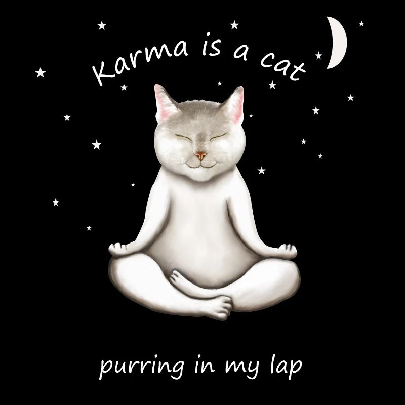 KARMA IS A CAT PURRING IN MY LAP