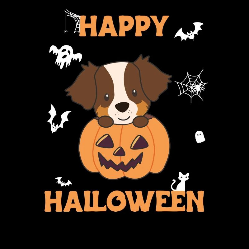 Sheperd australien dans Pumpkin Sweet Happy Halloween
