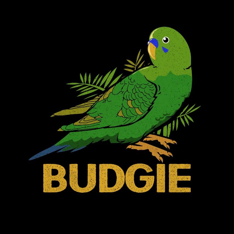 Budgie