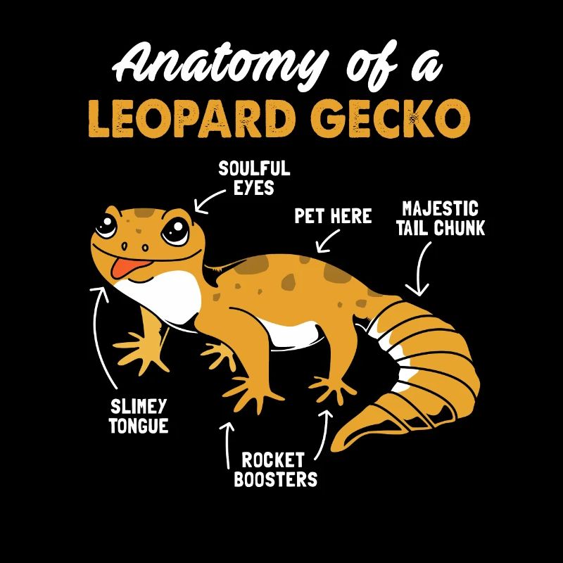 Gecko Anatomie