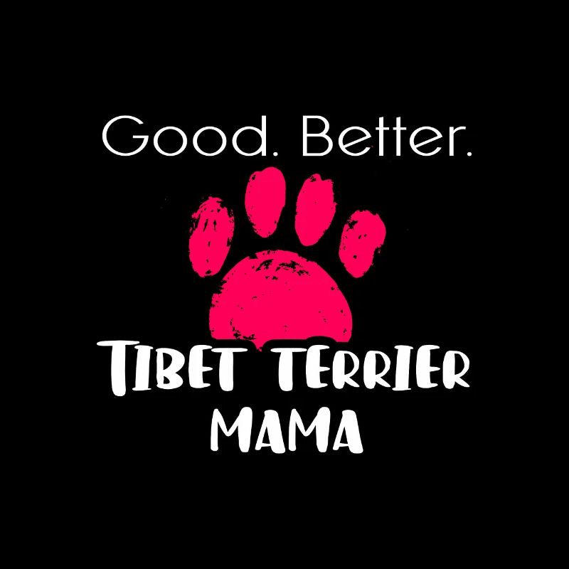Tibet Terrier