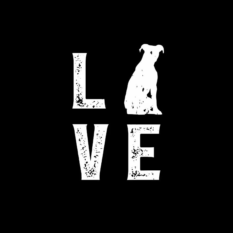 Pitbull Terrier Amour