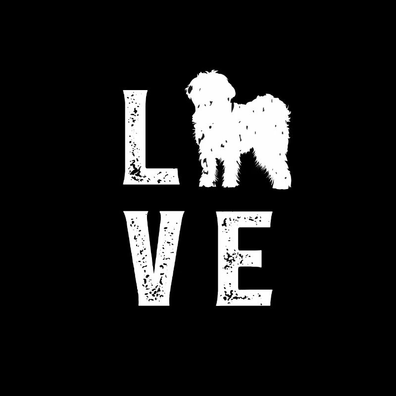 Schnoodle Love
