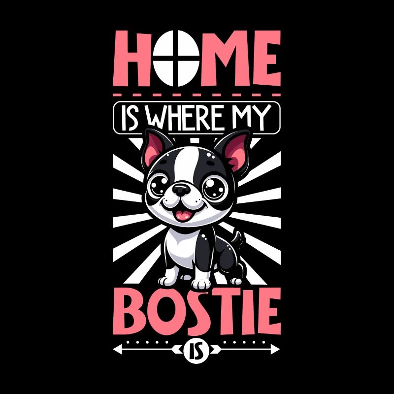 Zuhause - Boston Terrier
