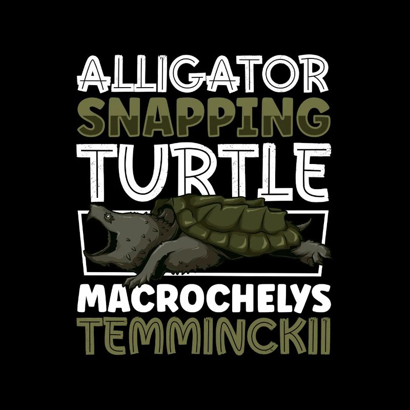 Alligator turtle