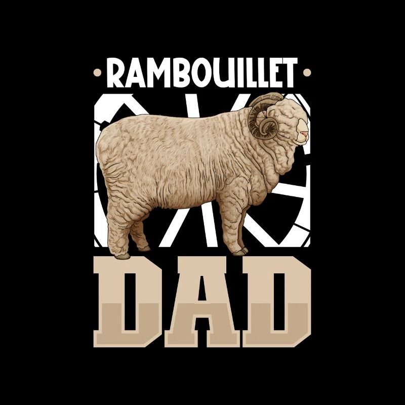 Rambouillet-Schaf Papa