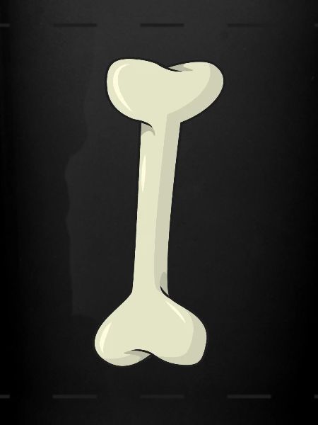 bone