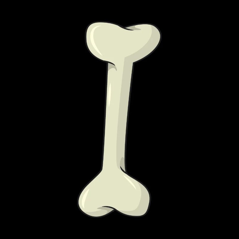 Knochen