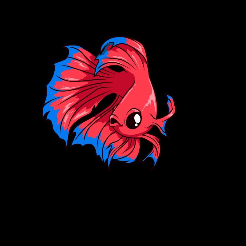Kawaii Siamese betta