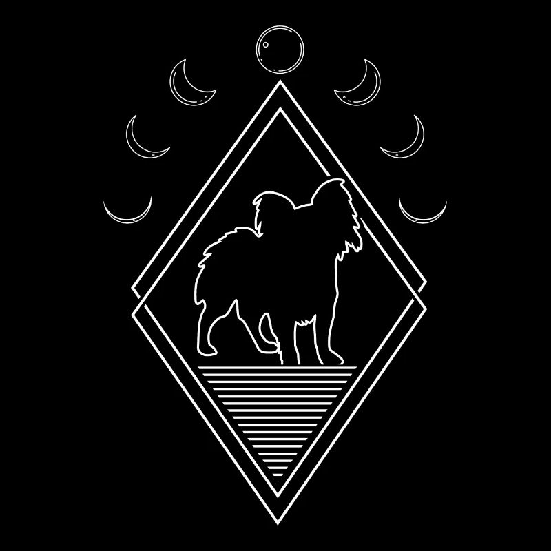 Papillon Phases de Lune