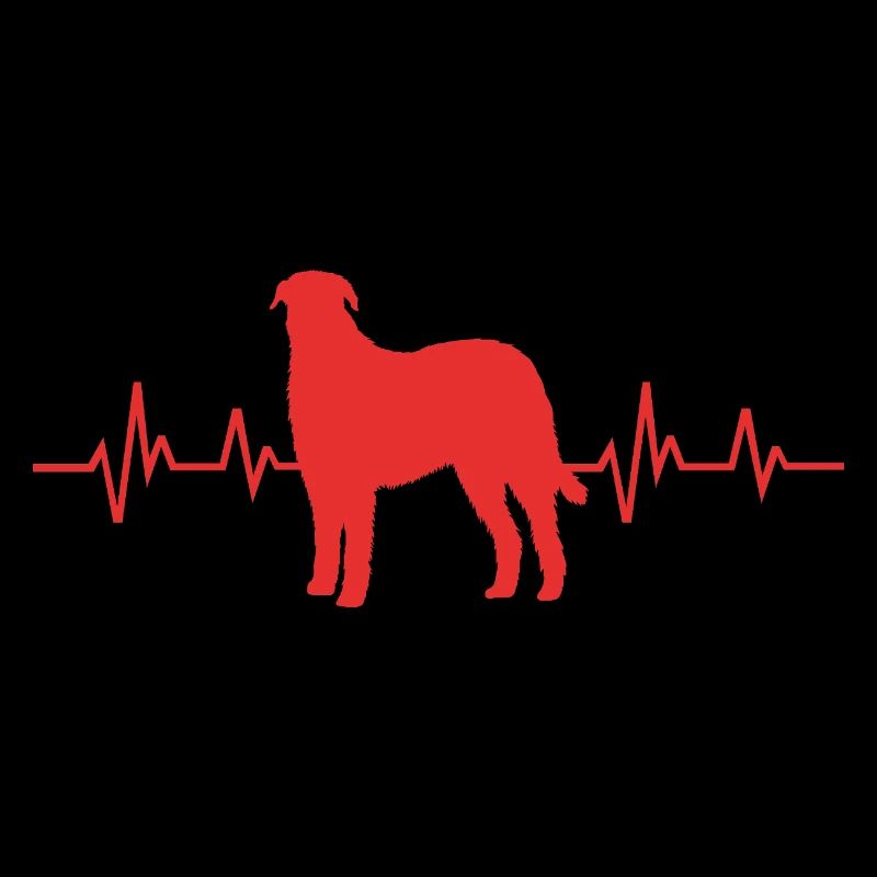 Irischer Wolfshund