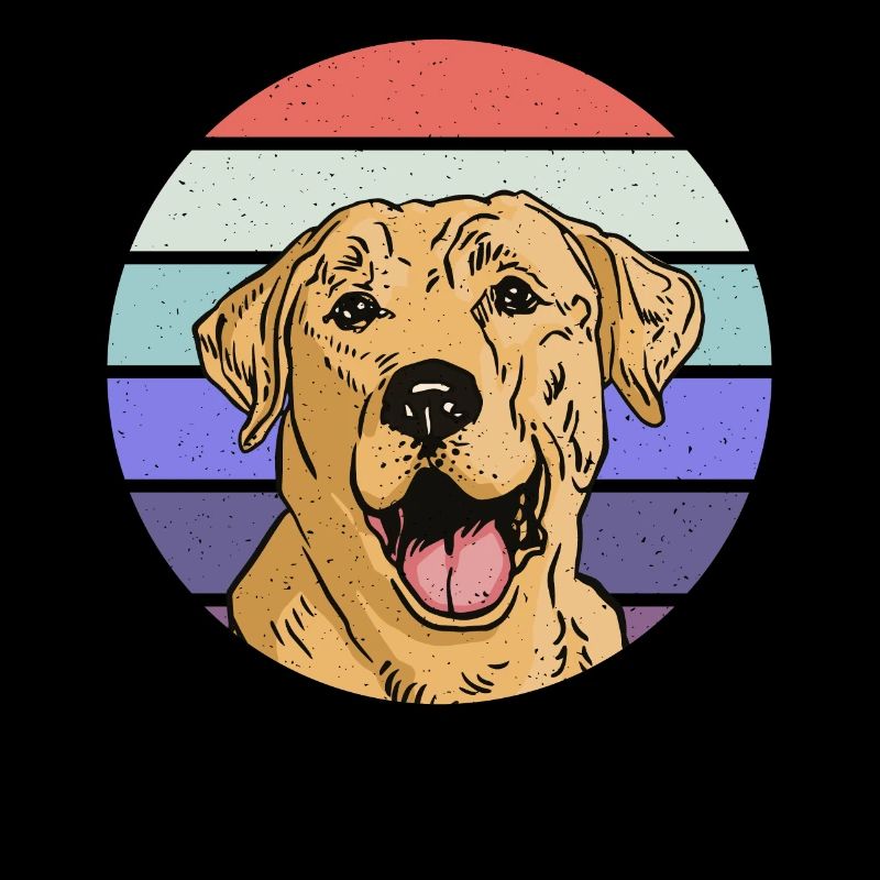 Retro clothing for Lab Labrador