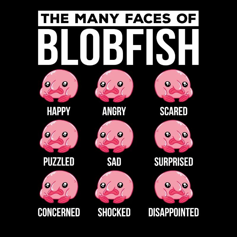 Many faces of the Blobfish owner Blobfish