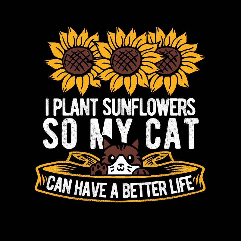 Chat tournesol