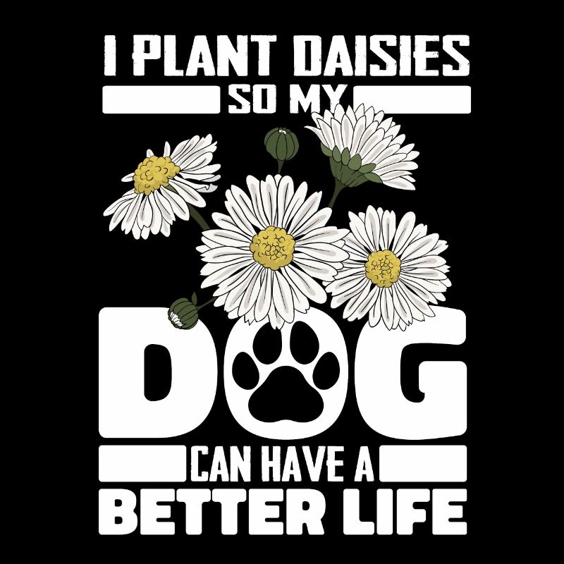 Gänseblume Gänseblümchen Hund