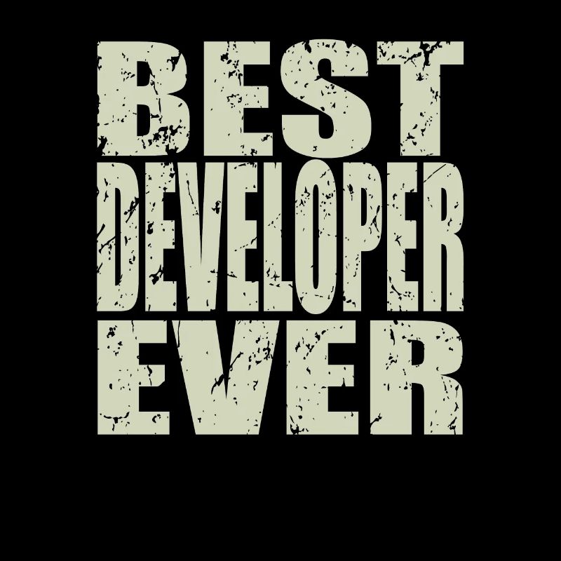 Best Developer ever Developer Gift