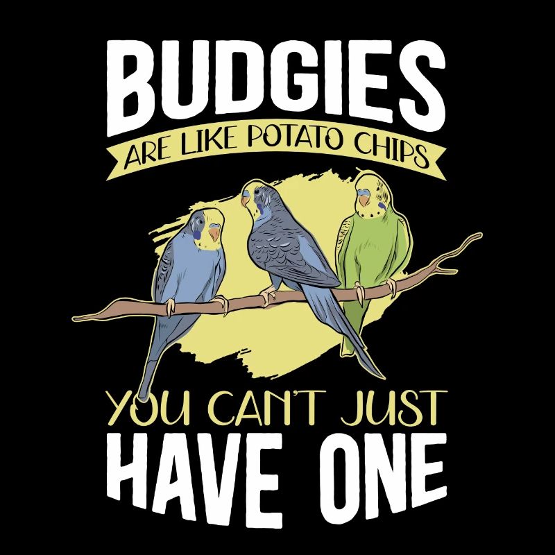 Cadeau de perruche du propriétaire de Budgerigar