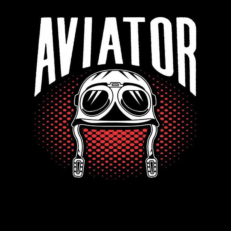 Pilote d’avion léger Pilote d’avion léger